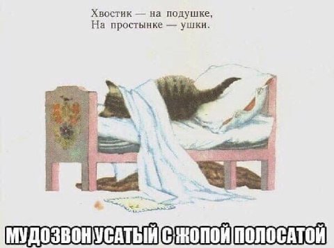 Хвостик на подушке, На простынке ушки. if я