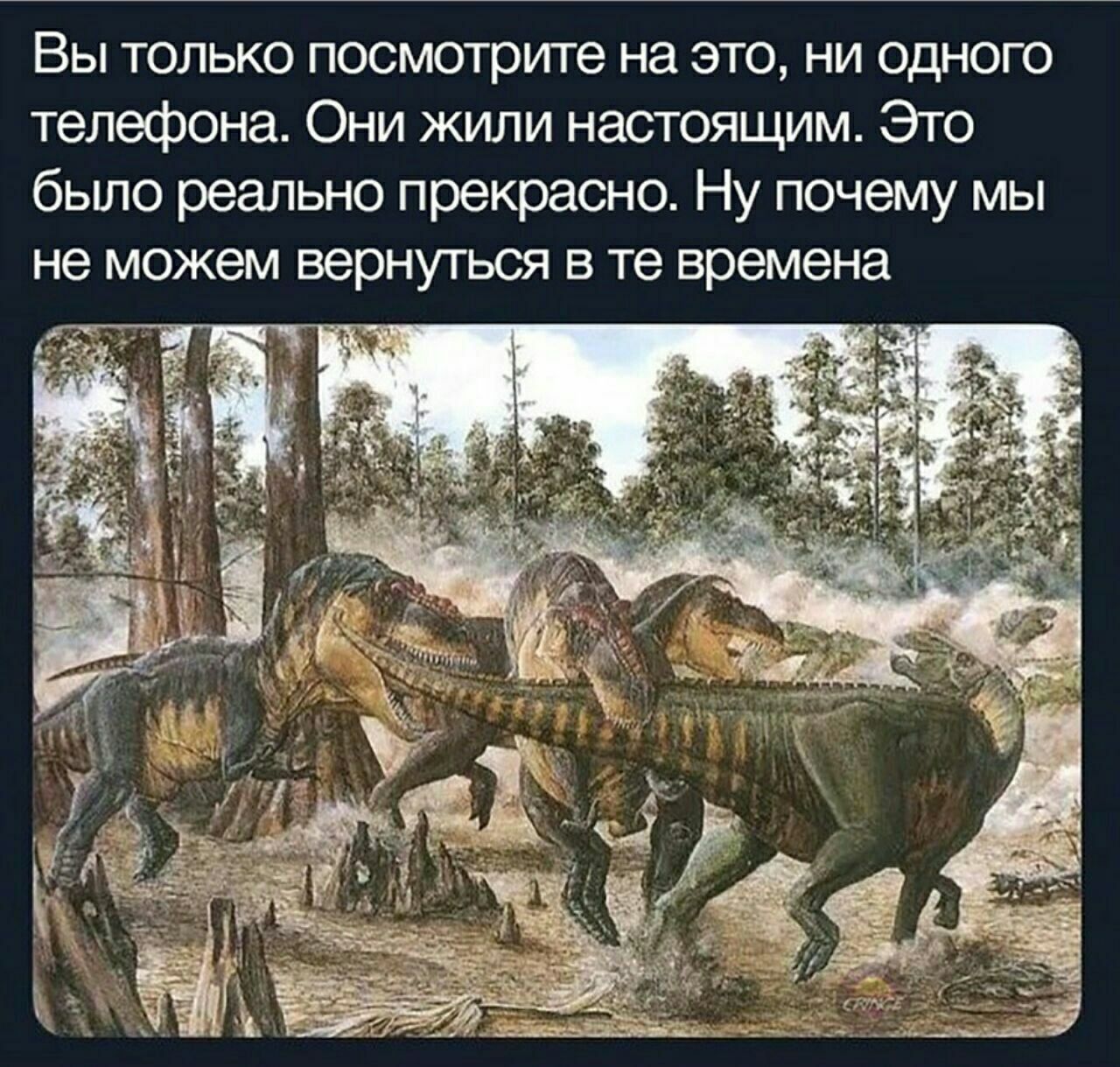 Вы только посмотрите на это, ни одного телефона. Они жили настоящим. Это было реально прекрасно. Ну почему мы не можем вернуться в времена 4