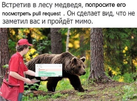Встретив в лесу медведя, попросите его посмотреть pull request Он сделает вид, что не заметил вас и пройдёт мимо. —2 i.