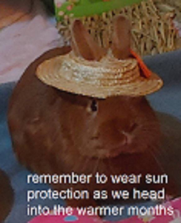 a remember to wear sun protection as we head warmer mopthis