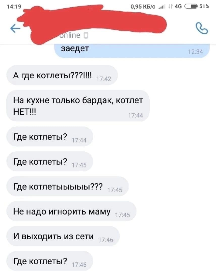 14:19 0,95 КБ/С №9 51% заедет 12:34 А где котлеты???!!!! На кухне только бардак, котлет HET!!! 17-44 Где котлеты? Где Где котлетыыыыы??? Не надо игнорить маму И выходить из сети Где котлеты?
