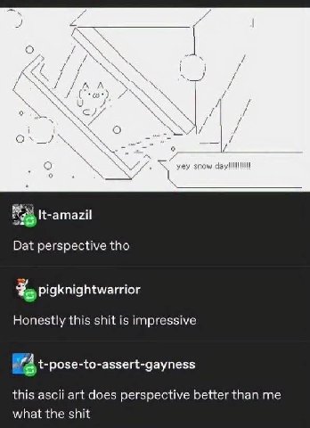 о yey snow It-amazil Dat perspective tho pigknightwarrior Honestly this shit is impressive t-pose-to-assert-gayness this ascii art does perspective better than me what the shit