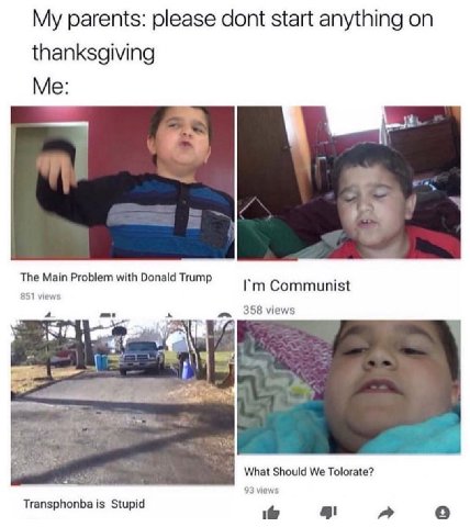 My parents: please dont start anything thanksgiving Me: The Main Problem with Donald Trump 851 Communist 358 views What Should We Tolorate? 93 views Transphonba is Stupid a о