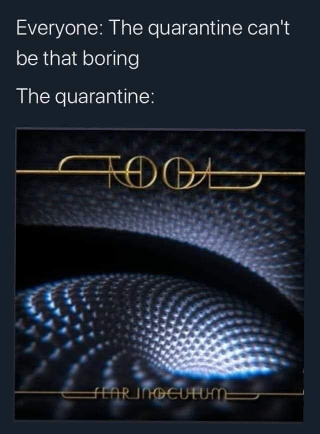 Everyone: The quarantine can't be that boring The quarantine: