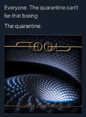 Everyone: The quarantine can't be that boring The quarantine: