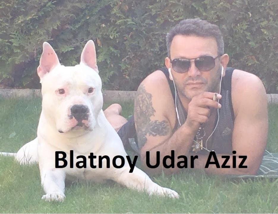 ene 4 if Blatno