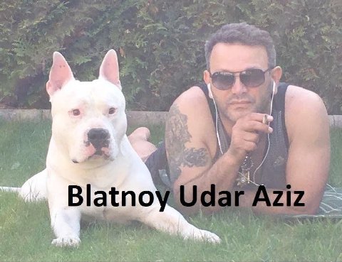 ene 4 if Blatno