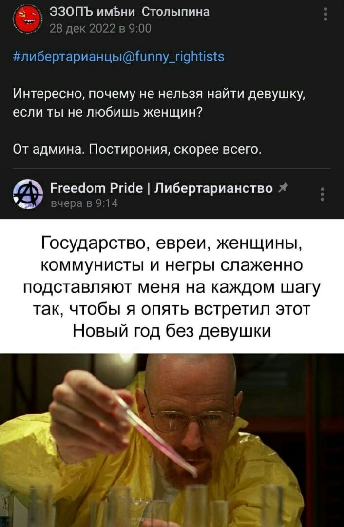 ЭЗОПЪ имЬни Столыпина Интересно, почему не нельзя найти девушку, если ты не любишь женщин? От админа. Постирония, скорее всего. Freedom Pride Либертарианство Государство, евреи, женщины, коммунисты и 