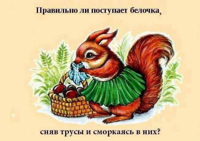 На размышление дается 30 секунд