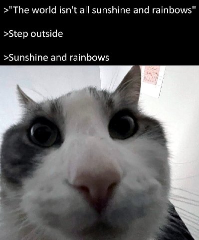 >"The world isn't all sunshine and rainbows" >Step outside >Sunshine and rainbows