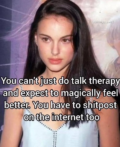i You can't talk therapy and.expect to magically feel better. You have to shitpost internet too