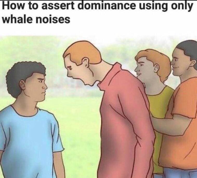 How to assert dominance using only whale noises