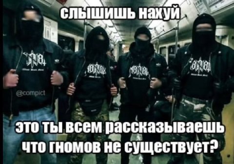 слышишь нахуй® это ты всем рассказываешь что гномов не существует?