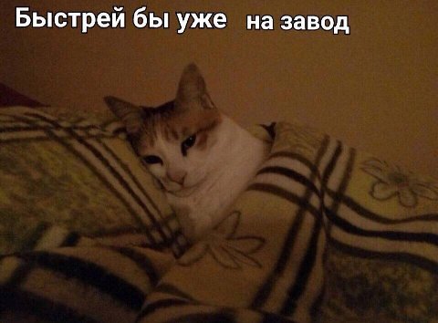 Быстрей бы уже на завод