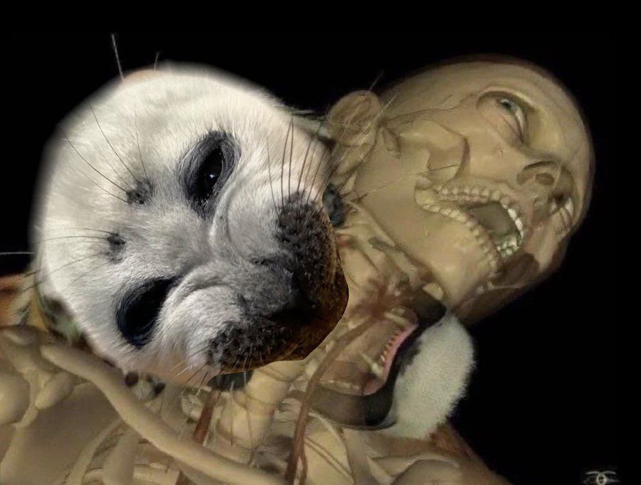 4,
