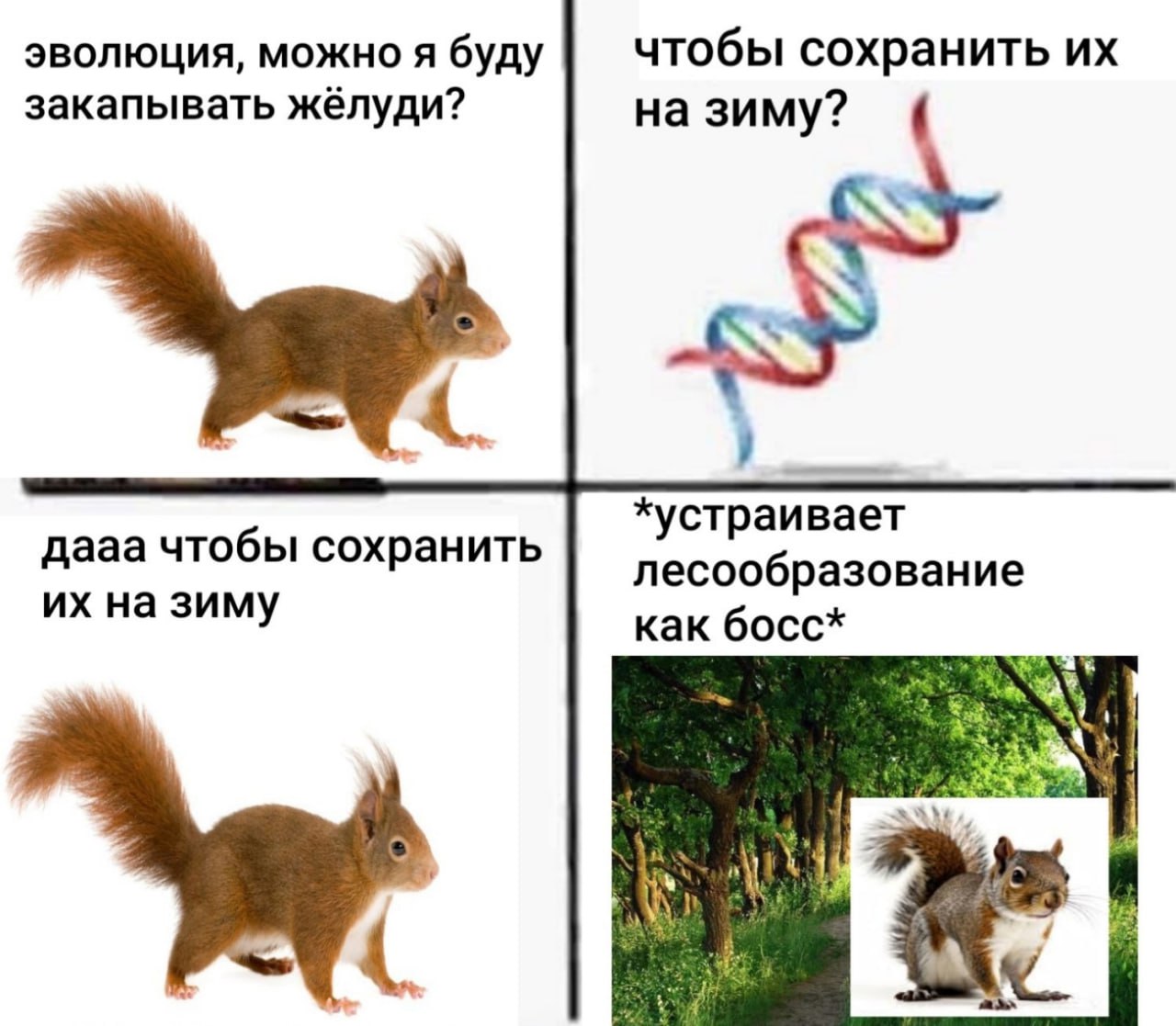 эволюция, можно я буду чтобы сохранить закапывать жёлуди? на зиму? 4. дааа чтобы сохранить лесообразование на зиму как босс*