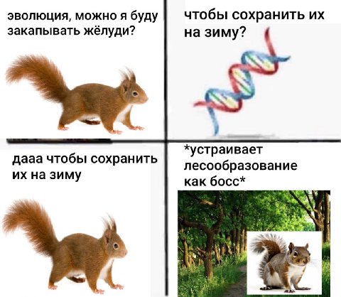 эволюция, можно я буду чтобы сохранить закапывать жёлуди? на зиму? 4. дааа чтобы сохранить лесообразование на зиму как босс*