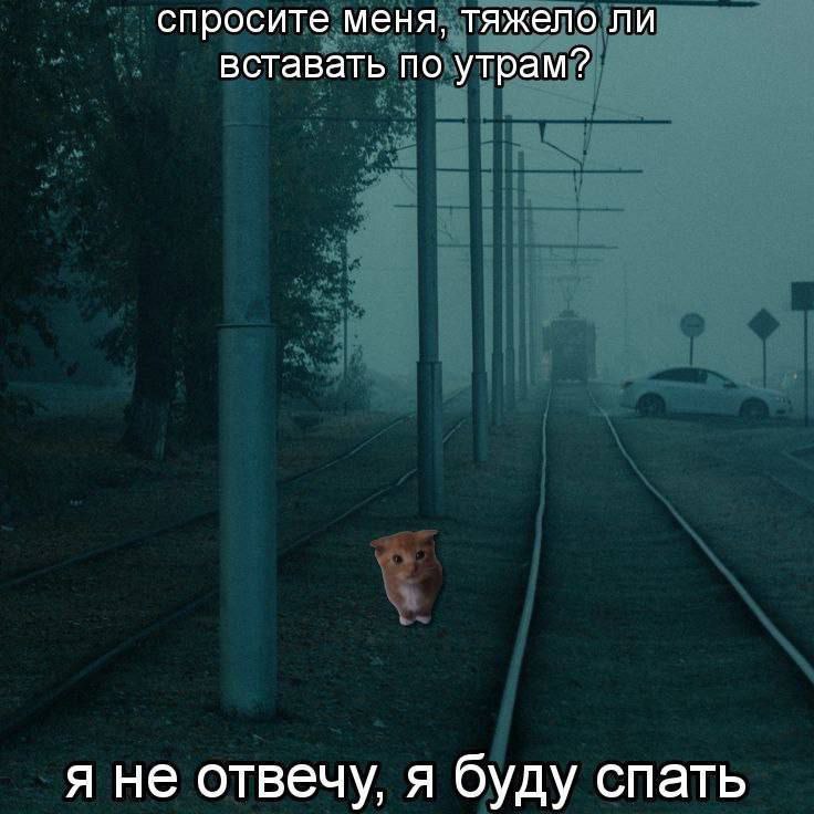спросите меня, тяжело ли вставать по утрам? я не отвечу, я буду спать