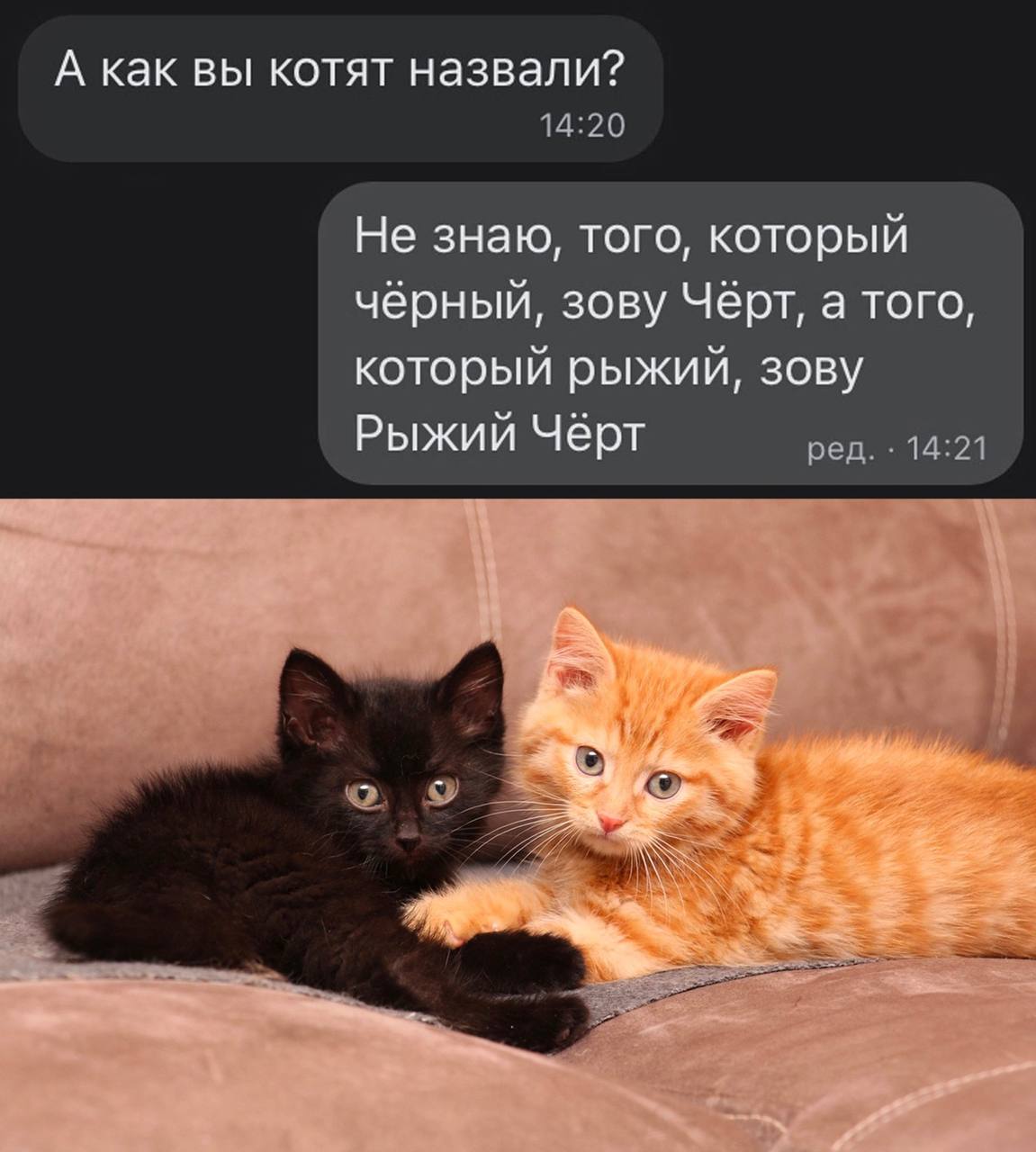 А как вы котят назвали? 14:20 Не знаю, того, который чёрный, зову Чёрт, а того, который рыжий, зову Рыжий Чёрт ред. 14:21