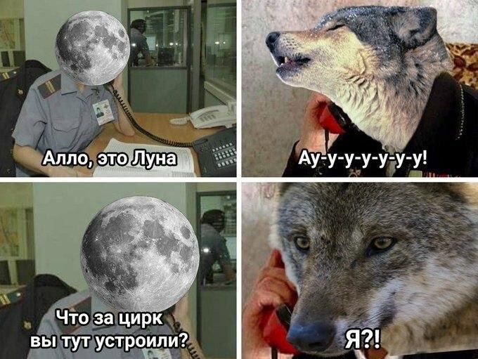 hey Алло, Что за цирк. 21 вы тут устроили? Я