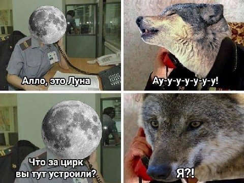 hey Алло, Что за цирк. 21 вы тут устроили? Я