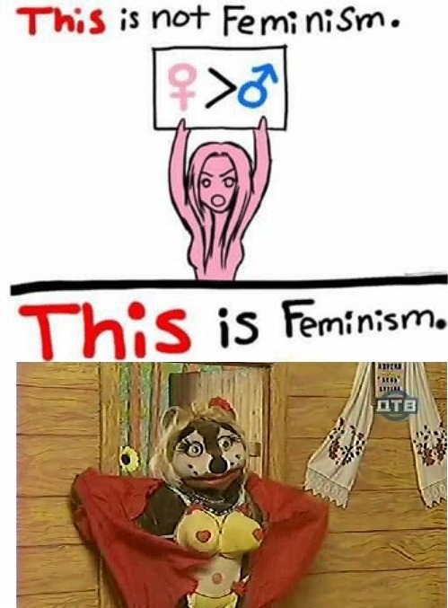 This is Not Feminism. 15 Feminism. у AN