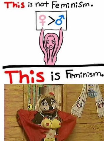 This is Not Feminism. 15 Feminism. у AN
