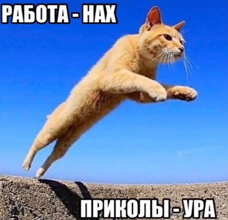 РАБОТА НАХ ПРИКОЛЫ -УРА
