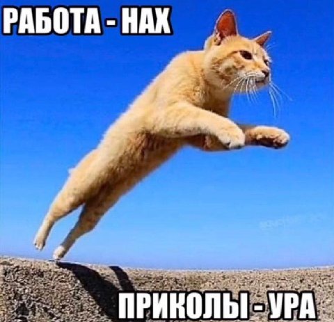 РАБОТА НАХ ПРИКОЛЫ -УРА