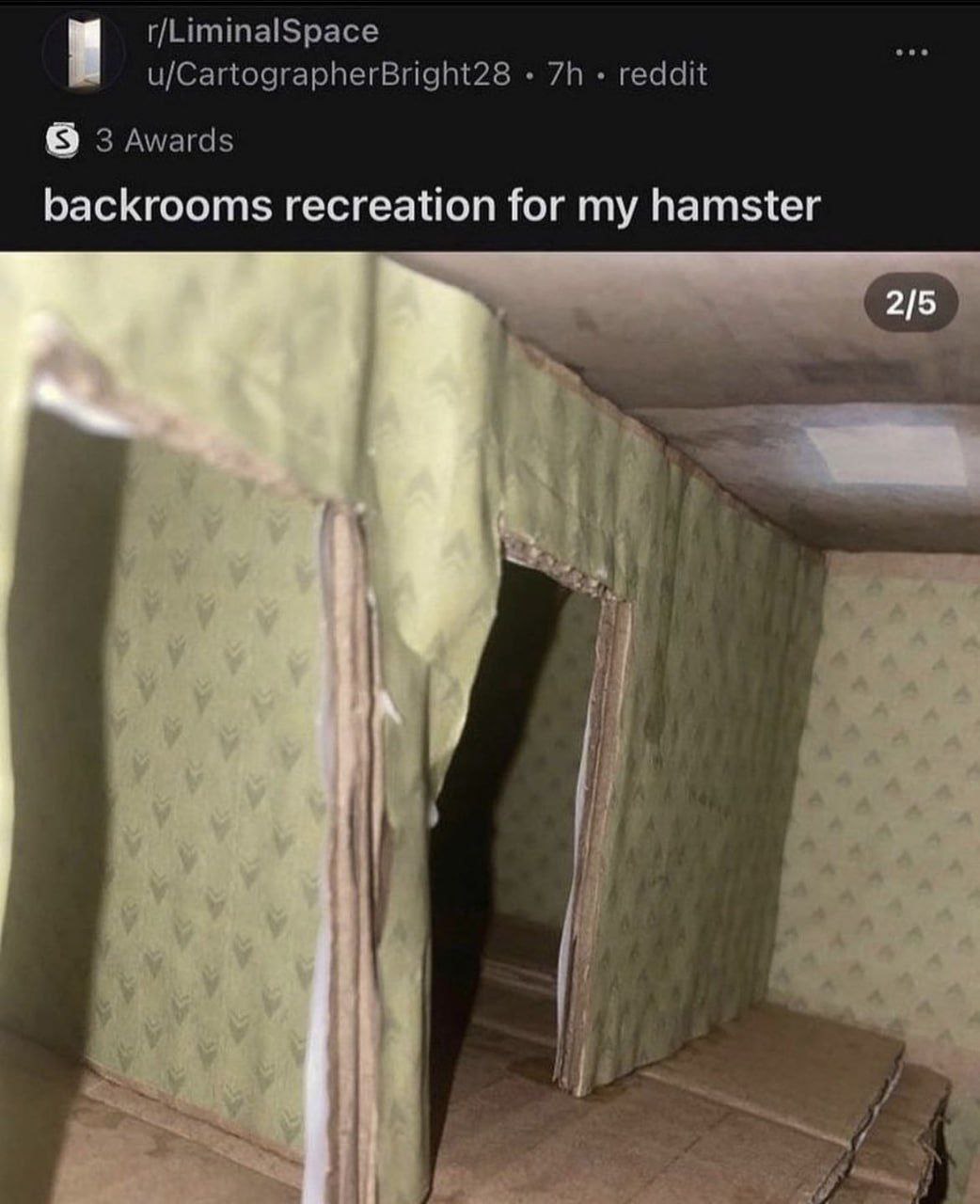 r/LiminalSpace u/CartographerBright28 reddit 3 Awards backrooms recreation for my hamster 215 A if i