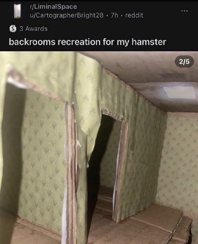r/LiminalSpace u/CartographerBright28 reddit 3 Awards backrooms recreation for my hamster 215 A if i