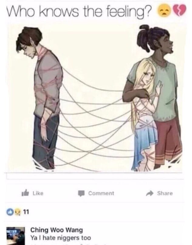 Who knows the feeling? ж idy Like Comment Share Oun Ching Woo Wang hate niggers too
