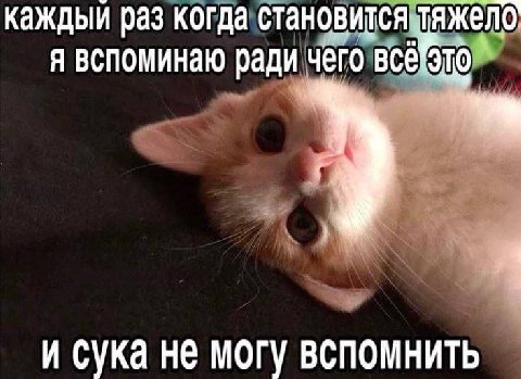 каждыи раз когда становится тяжело я вспоминаю ради чего и сука не могу вспомнить