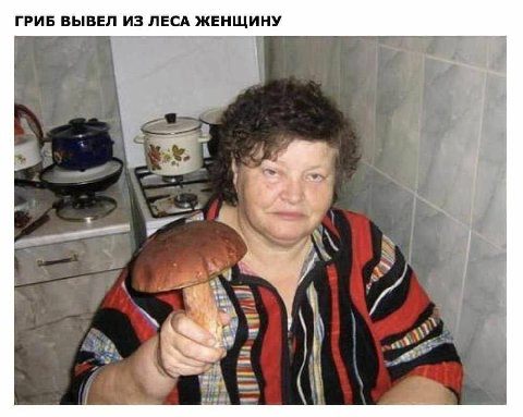 ГРИБ ВЫВЕЛ ИЗ ЛЕСА ЖЕНЩИНУ