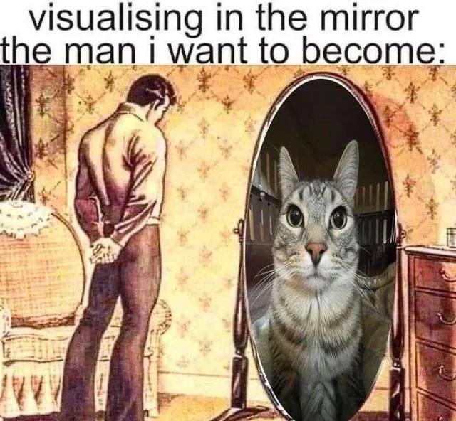 visualising in the mirror the man i want to become: 7