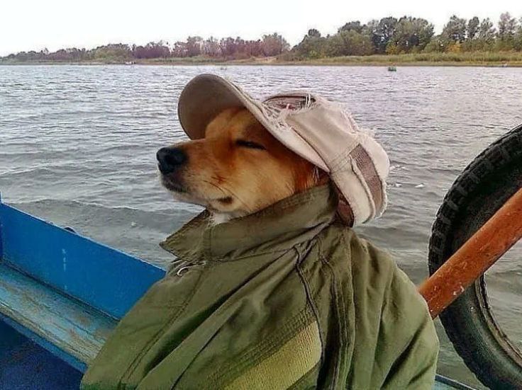 выходные.