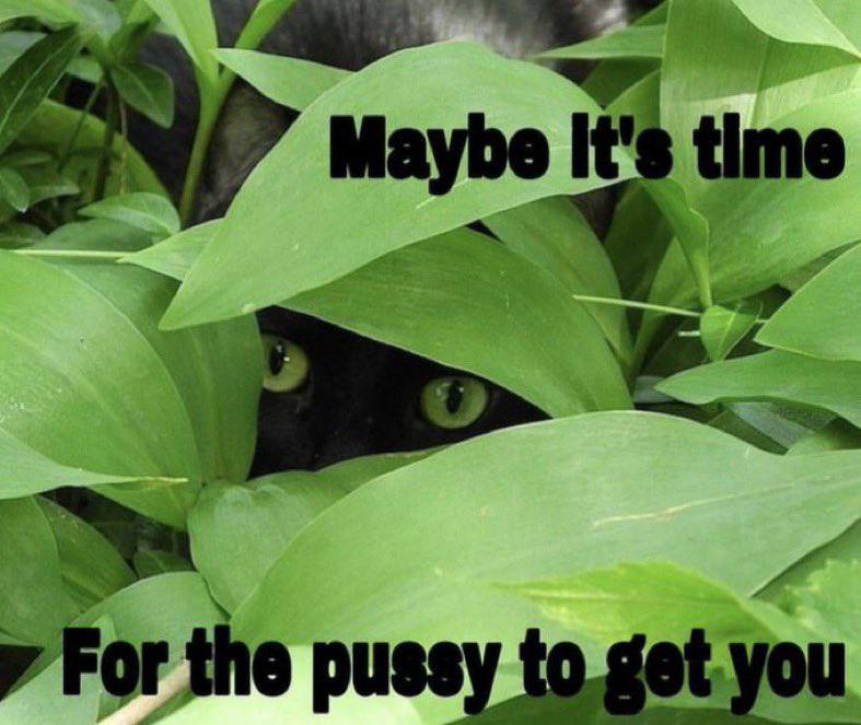 Maybe It’s time For the pussy to get you