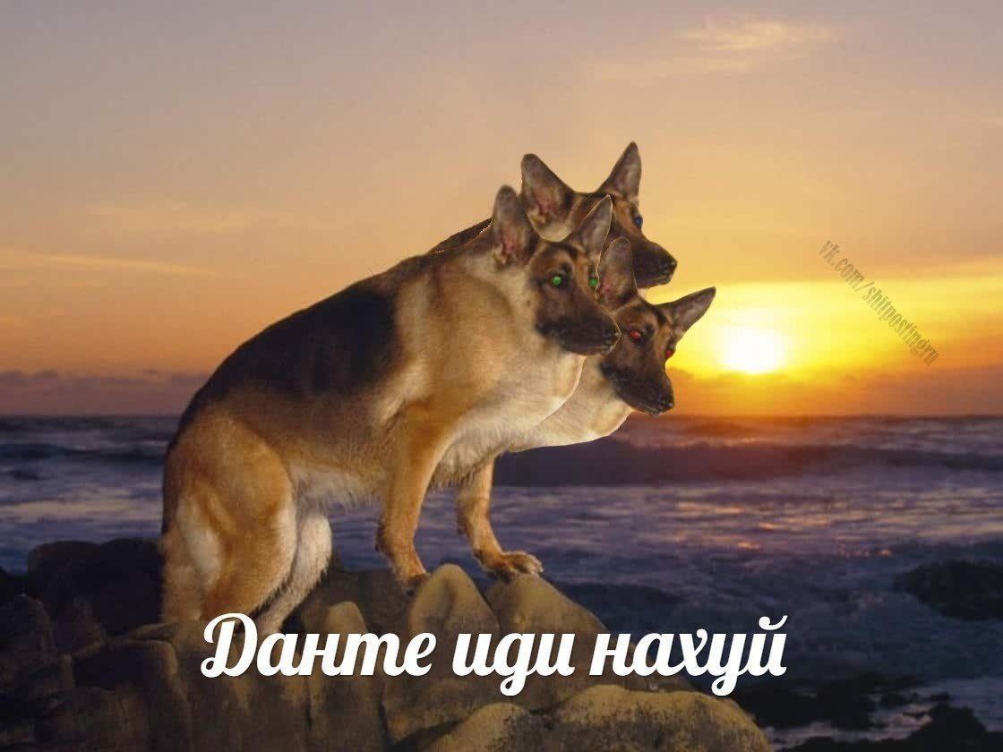 Данте иди нахуй