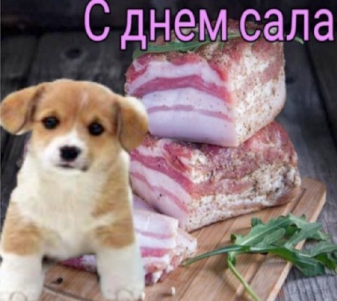 днем.сала