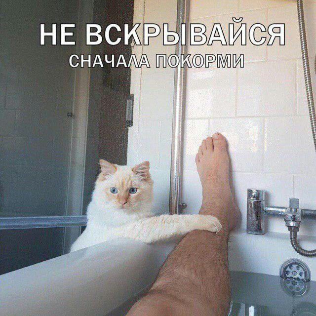 НЕ СНАЧАЛА