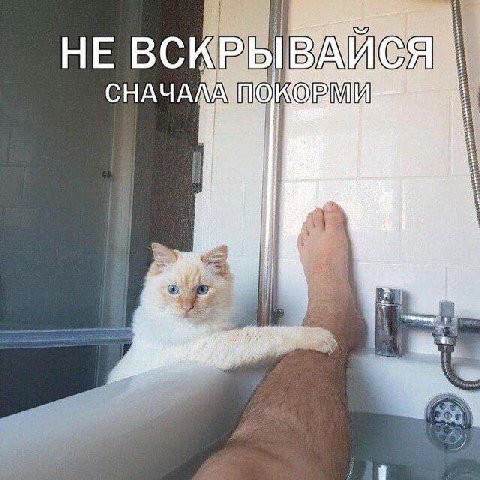 НЕ СНАЧАЛА