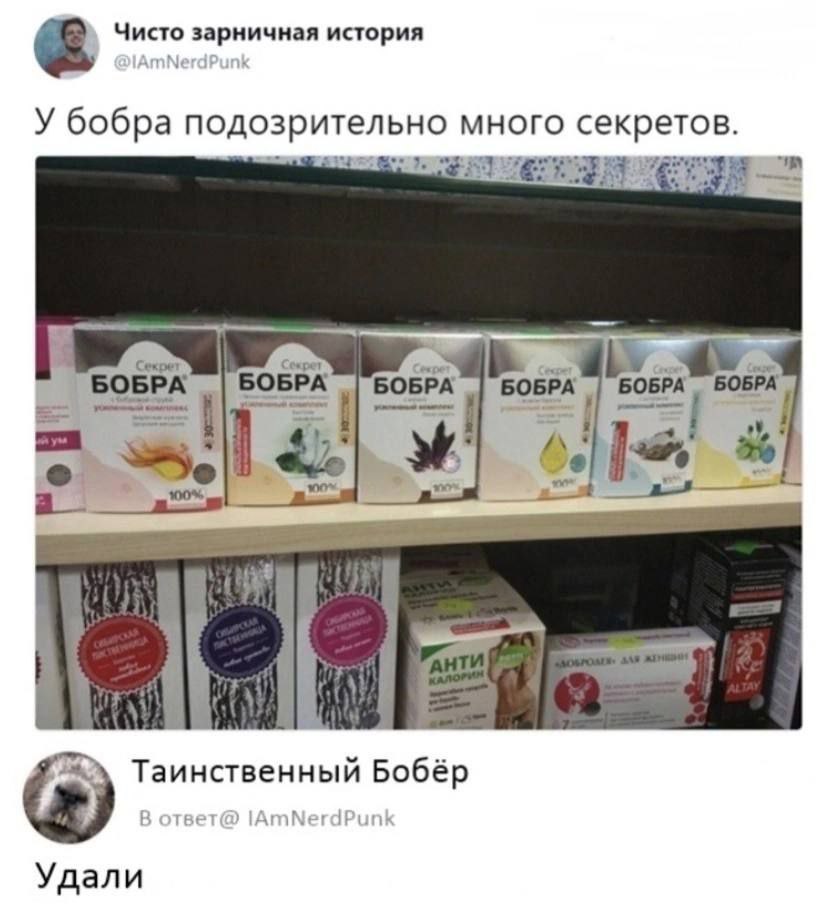 Чисто зарничная история У бобра подозрительно много секретов. Секрет Сежрет exper BOBPA BOBPA BOBPA 7 7 A I а Таинственный Бобёр Удали