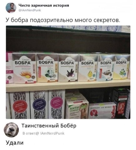 Чисто зарничная история У бобра подозрительно много секретов. Секрет Сежрет exper BOBPA BOBPA BOBPA 7 7 A I а Таинственный Бобёр Удали