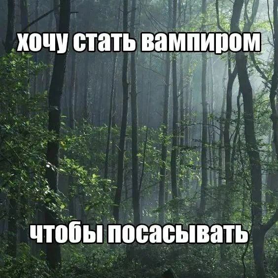 хочу стать вампиром чтобы посасывать