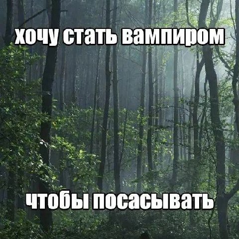 хочу стать вампиром чтобы посасывать