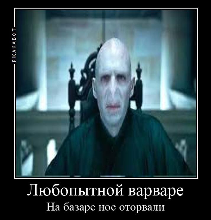 Любопытной варваре На базаре нос оторвали