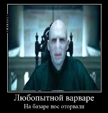 Любопытной варваре На базаре нос оторвали