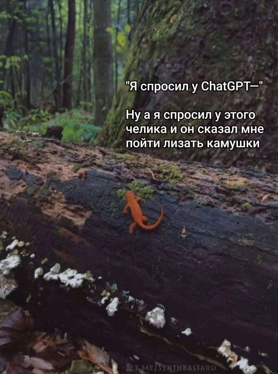 "Я спросил у ChatGPT—" Нуая спросил у этого челика и он сказал мне пойти лизать камушки