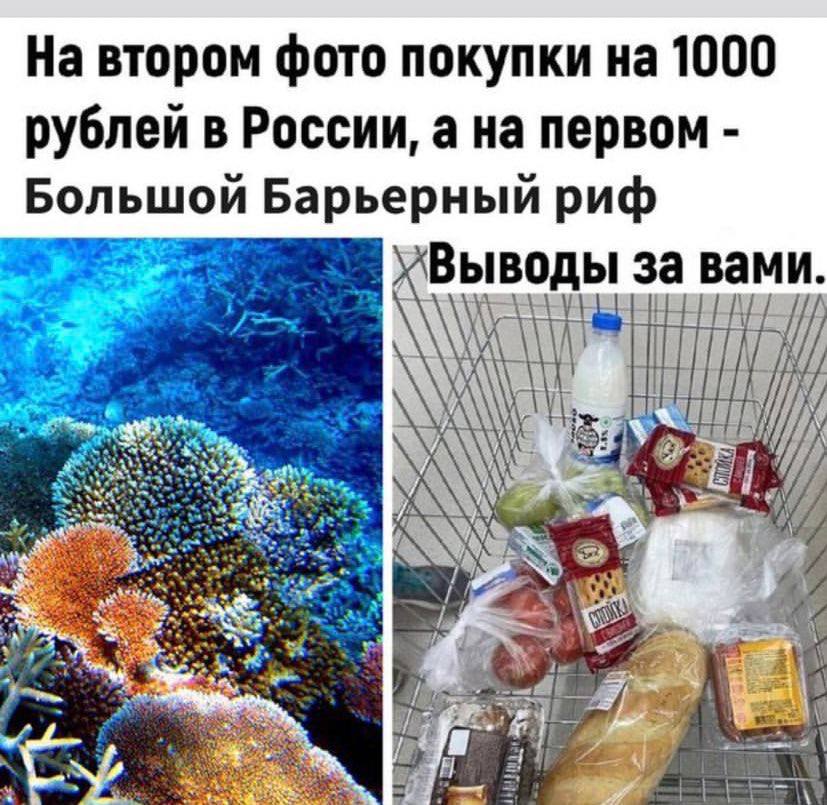 На втором фото покупки на 1000 рублей в России, а на первом Большой Барьерный риф хВыводы за вами. He Ж\ a 1} a 2