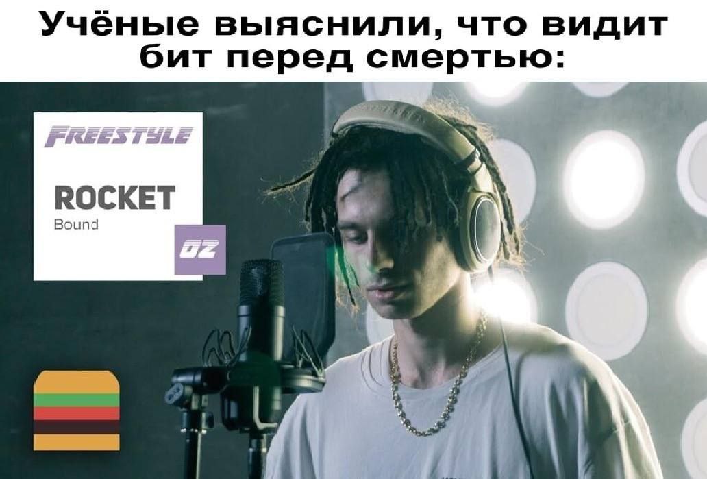 Учёные выяснили, что видит бит перед смертью: ROC KET